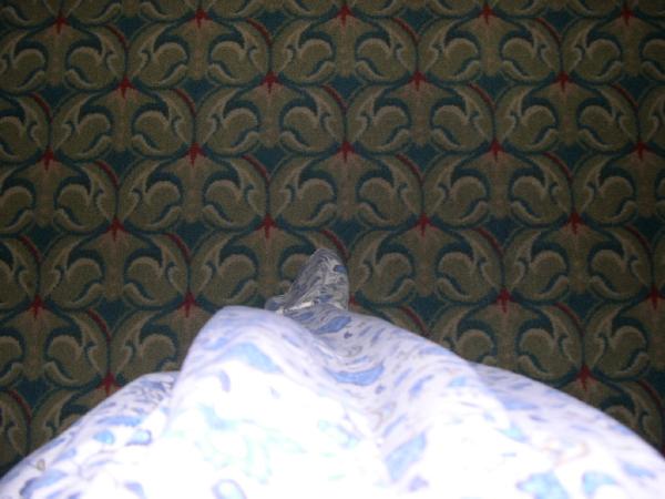 2004college07.jpg  (35.0 Kb)