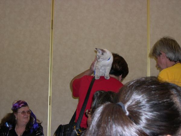 2004college11.jpg  (27.0 Kb)