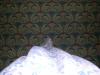 2004college07.jpg  (35.0 Kb)