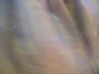 06costume_college190.jpg  (10.3 Kb)