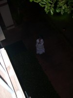 07cc090.jpg  (46.8 Kb)