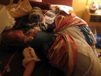 IMG_1182_resize.JPG  (88.7 Kb)