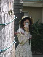 IMG_1240_resize.JPG  (99.6 Kb)