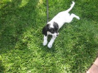 IMG_1269_resize.JPG  (181.0 Kb)