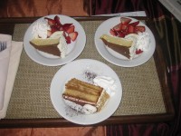 IMG_1327_resize.JPG  (103.0 Kb)